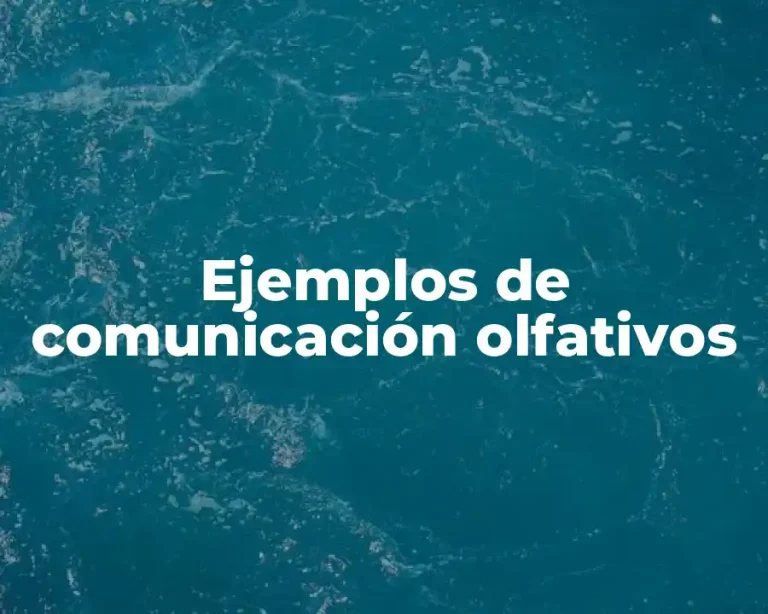 Ejemplos de comunicación olfativos