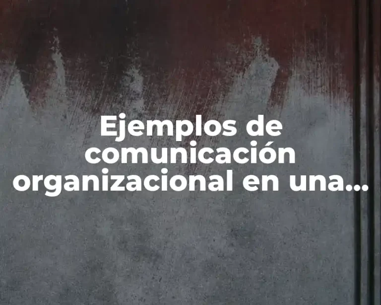 Ejemplos de comunicación organizacional en una curriculum