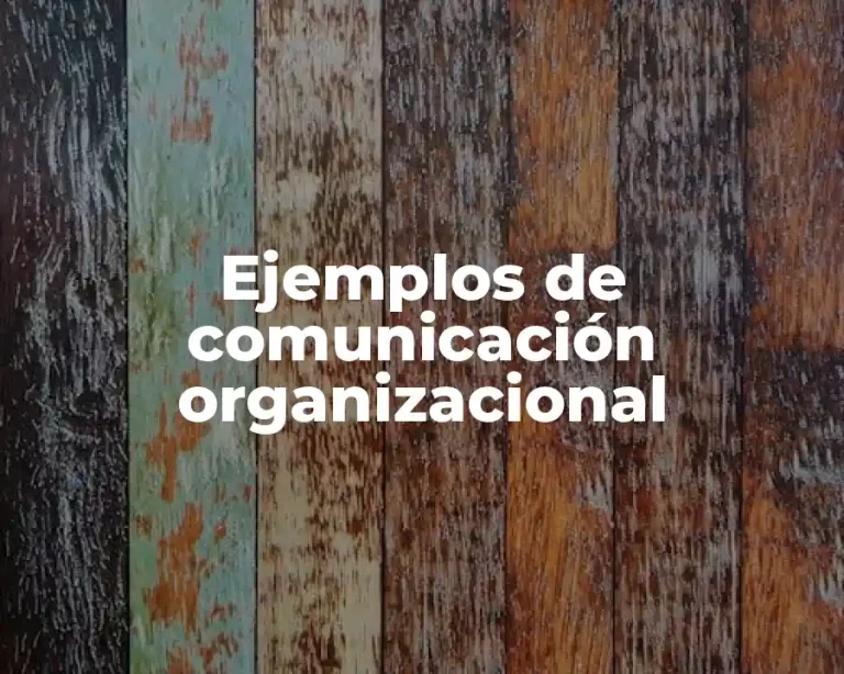 Ejemplos de comunicación organizacional