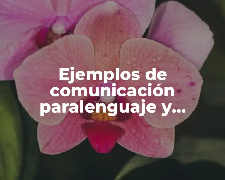 Ejemplos de comunicación paralenguaje y Significado