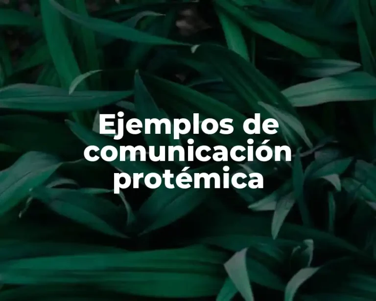Ejemplos de comunicación protémica