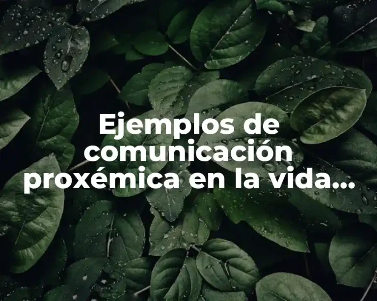 Ejemplos de comunicación proxémica en la vida cotidiana