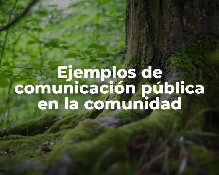 Ejemplos de comunicación pública en la comunidad