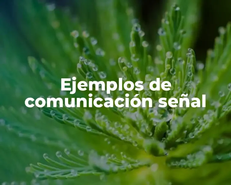 Ejemplos de comunicación señal