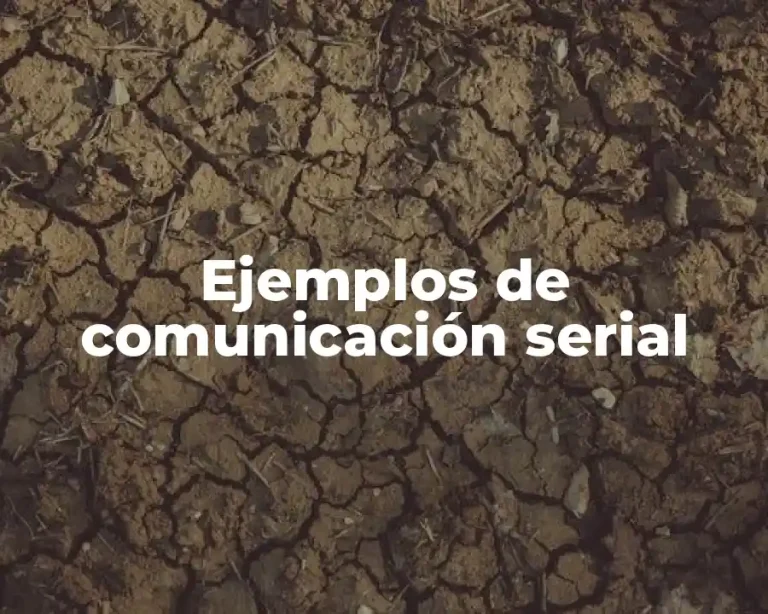 Ejemplos de comunicación serial