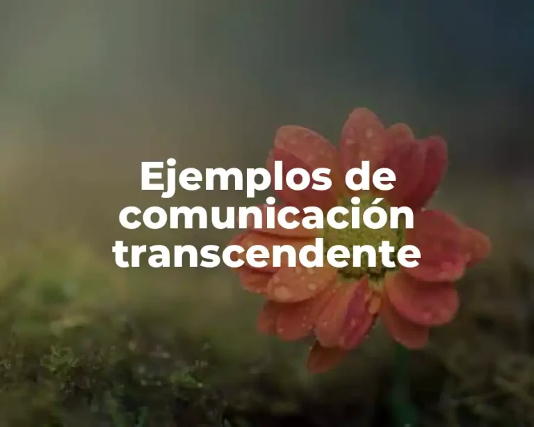 Ejemplos de comunicación transcendente
