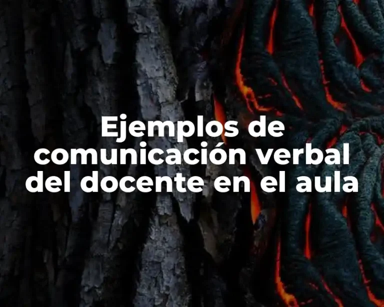 Ejemplos de comunicación verbal del docente en el aula