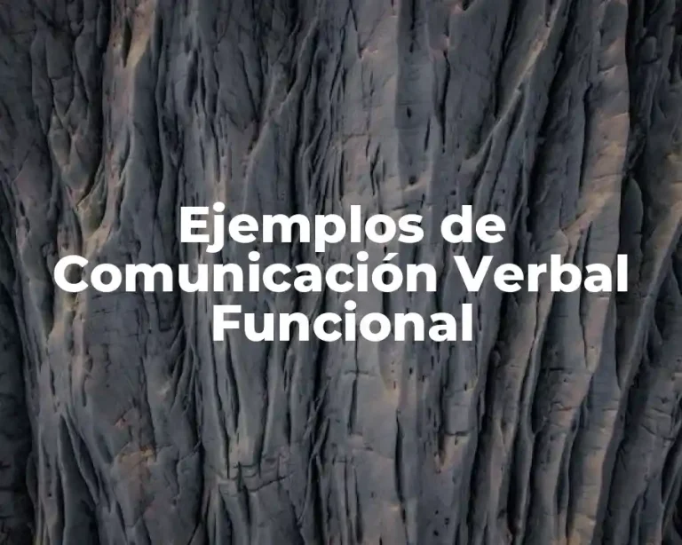 Ejemplos de Comunicación Verbal Funcional