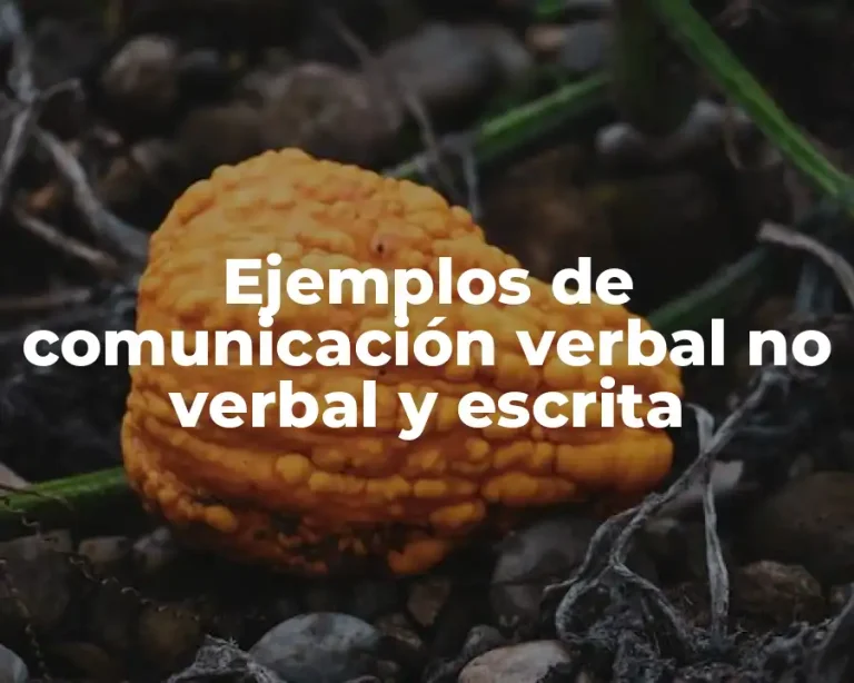 Ejemplos de comunicación verbal no verbal y escrita
