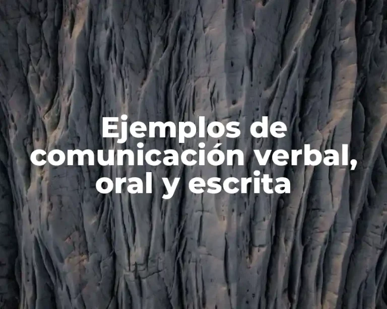Ejemplos de comunicación verbal, oral y escrita