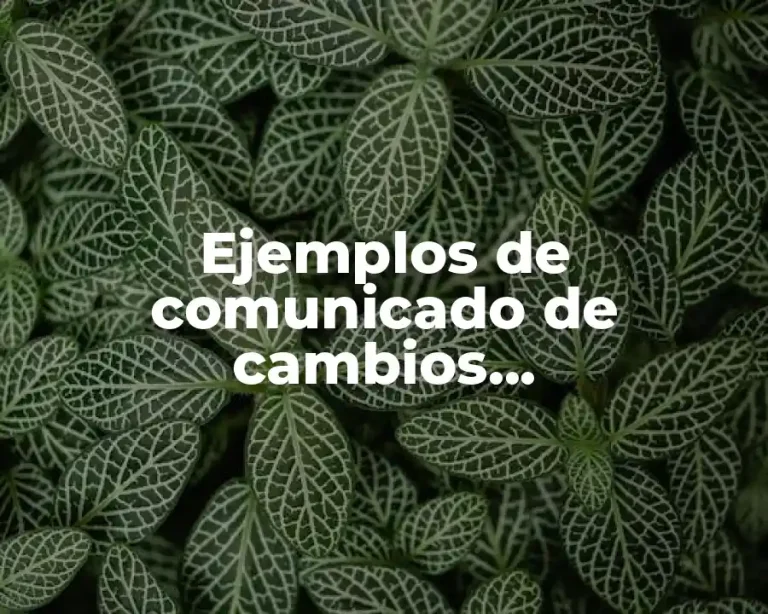 Ejemplos de comunicado de cambios organizacionales