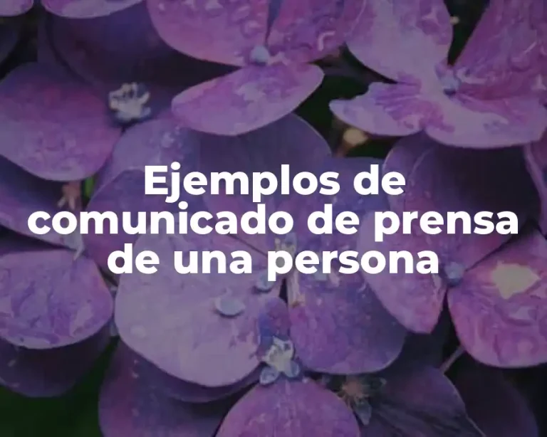 Ejemplos de comunicado de prensa de una persona