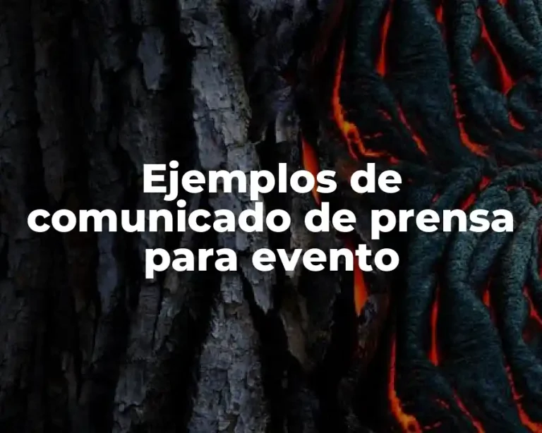 Ejemplos de comunicado de prensa para evento