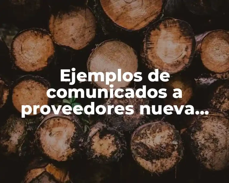 Ejemplos de comunicados a proveedores nueva persona