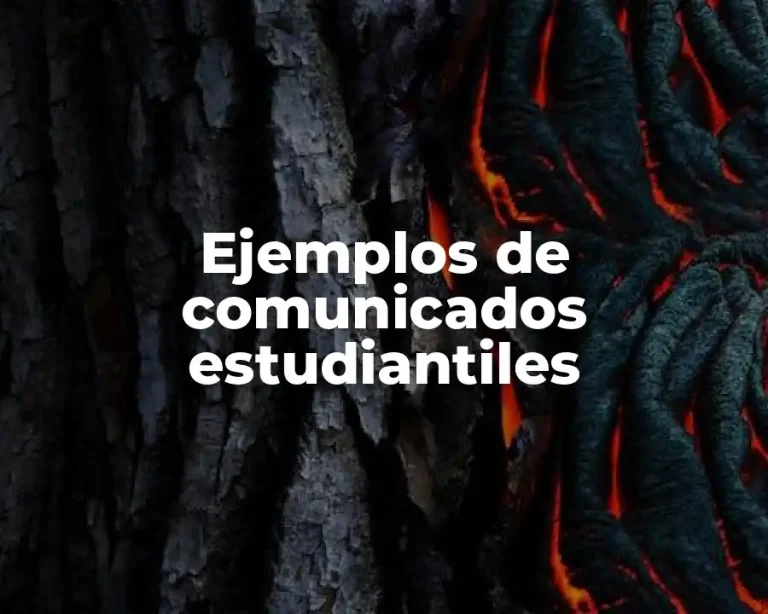 Ejemplos de comunicados estudiantiles