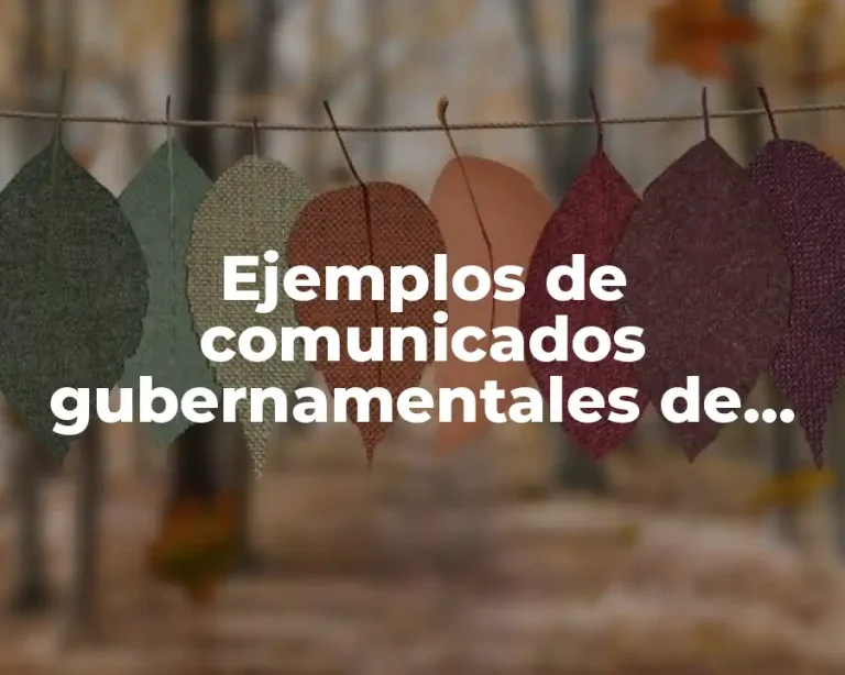 Ejemplos de comunicados gubernamentales de policía federal