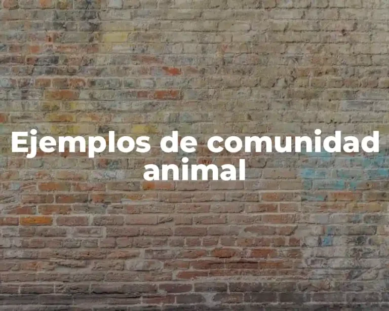 Ejemplos de comunidad animal