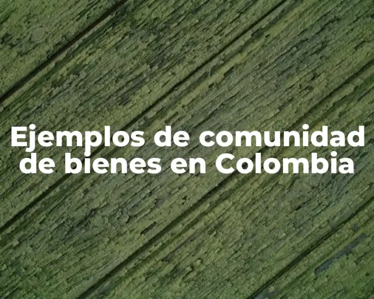 Ejemplos de comunidad de bienes en Colombia