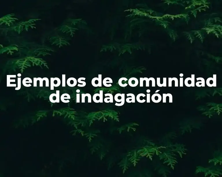 Ejemplos de comunidad de indagación