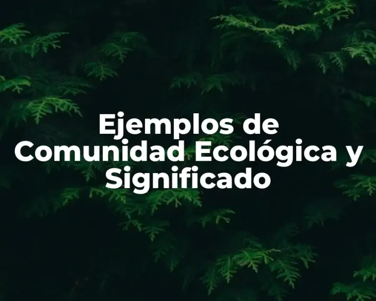 Ejemplos de Comunidad Ecológica y Significado