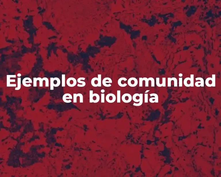 Ejemplos de comunidad en biología