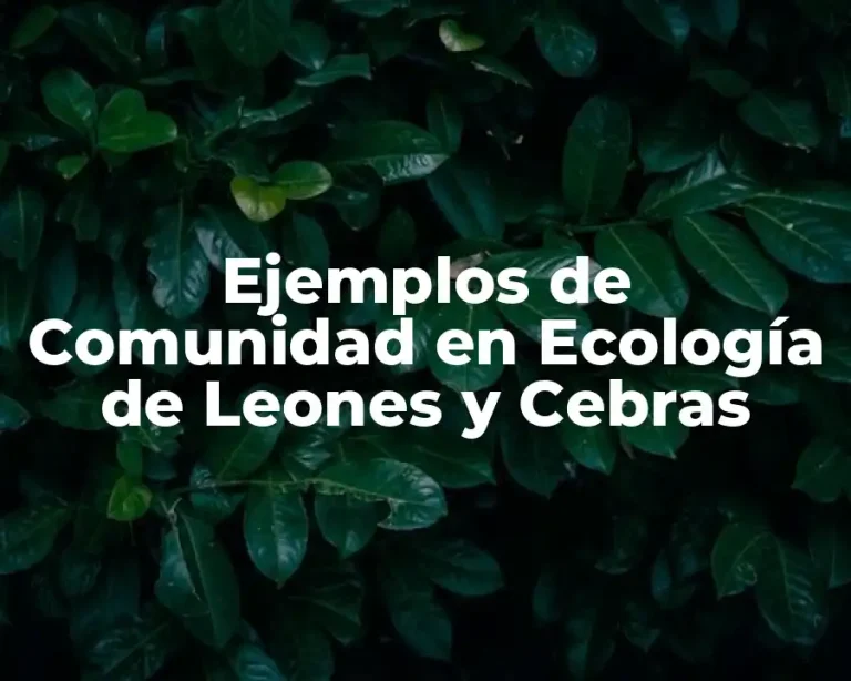 Ejemplos de Comunidad en Ecología de Leones y Cebras