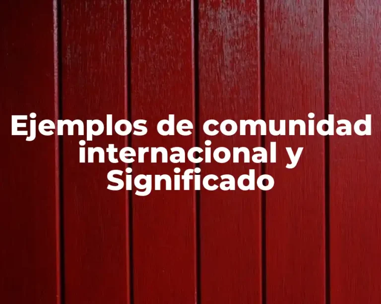 Ejemplos de comunidad internacional y Significado