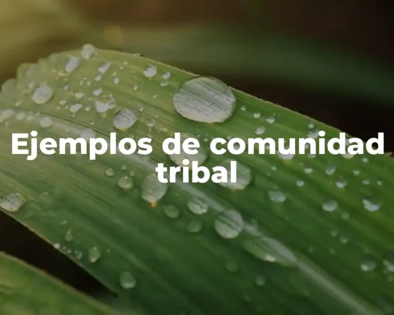 Ejemplos de comunidad tribal