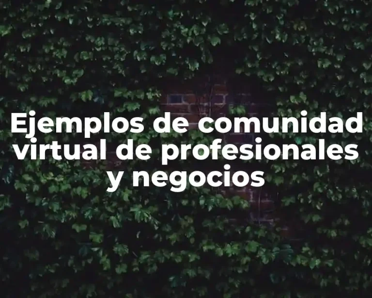 Ejemplos de comunidad virtual de profesionales y negocios