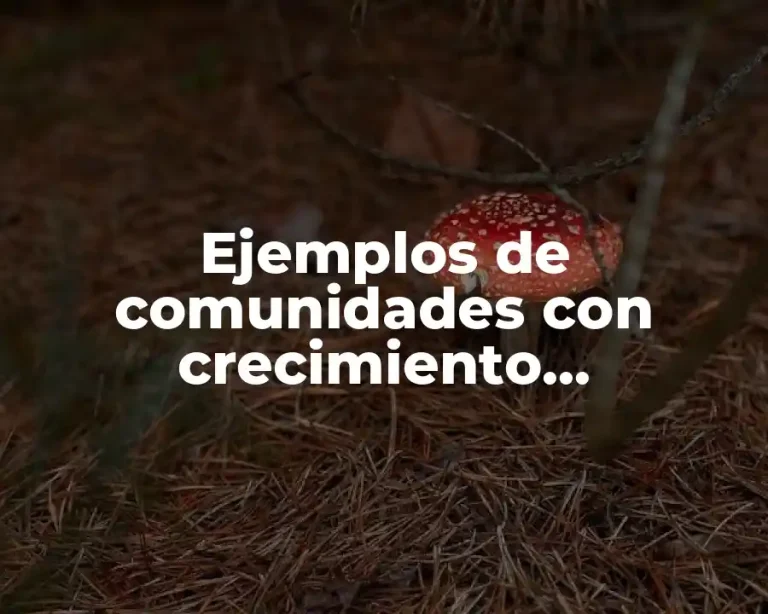 Ejemplos de comunidades con crecimiento poblacional de Yucatán