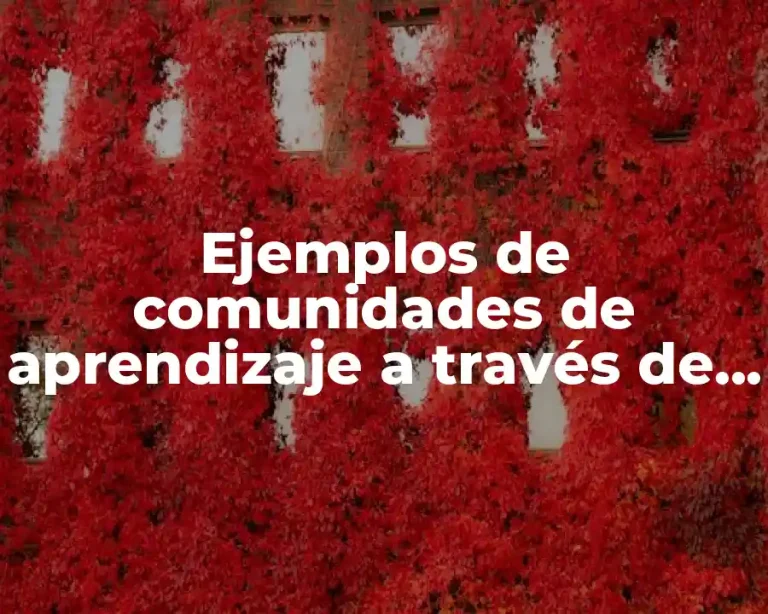 Ejemplos de comunidades de aprendizaje a través de internet