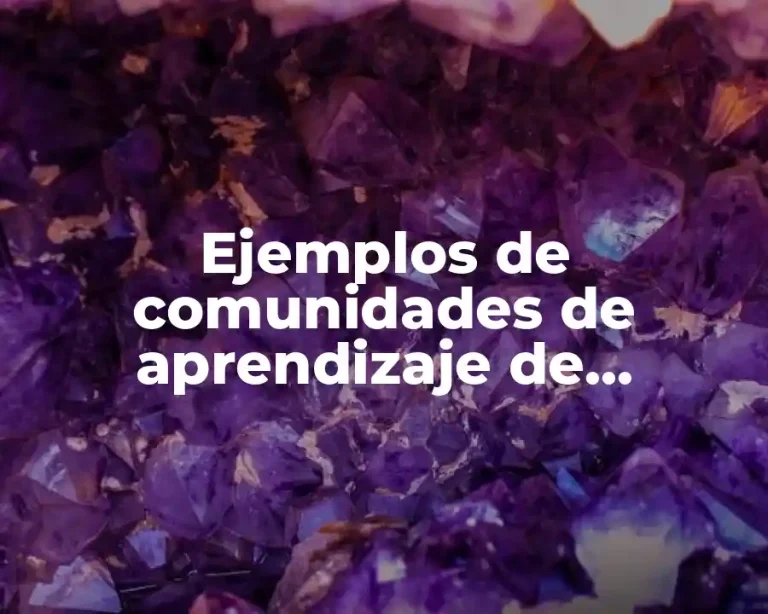 Ejemplos de comunidades de aprendizaje de informática