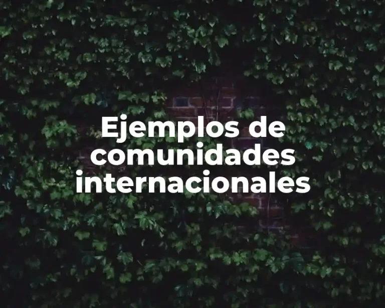 Ejemplos de comunidades internacionales