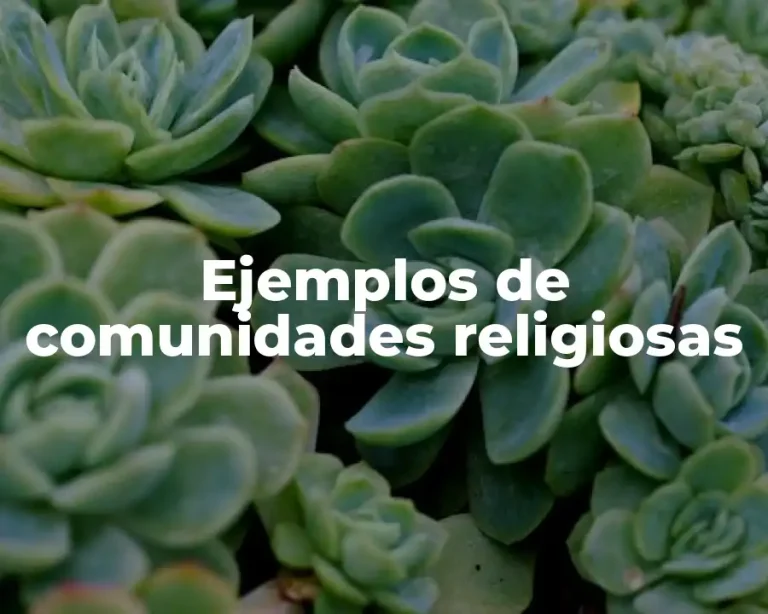 Ejemplos de comunidades religiosas