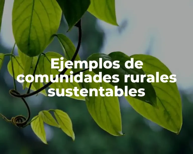 Ejemplos de comunidades rurales sustentables