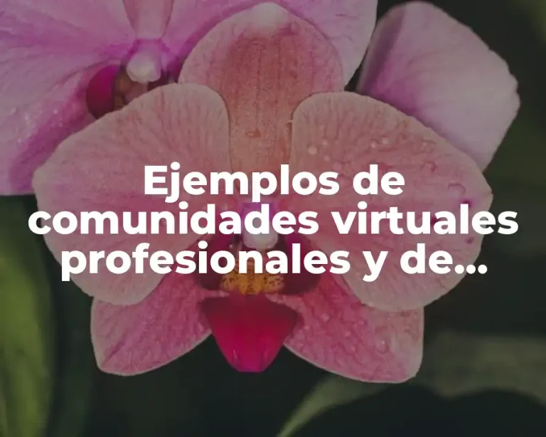 Ejemplos de comunidades virtuales profesionales y de negocios