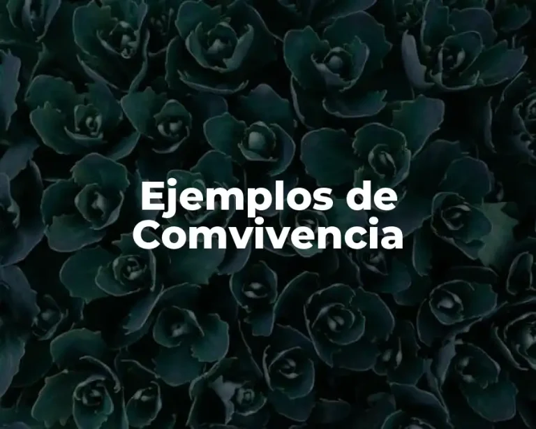 Ejemplos de Comvivencia