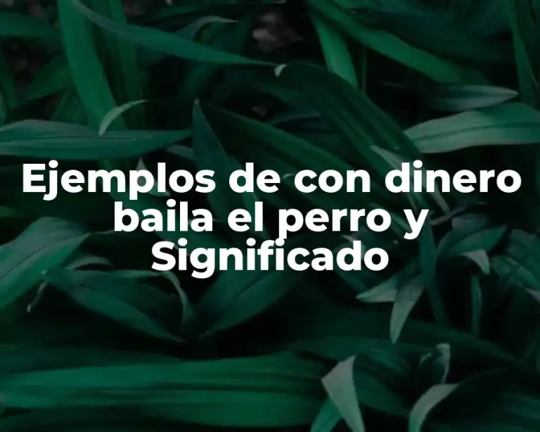 Ejemplos de con dinero baila el perro y Significado