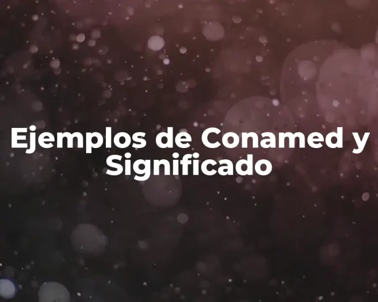 Ejemplos de Conamed y Significado