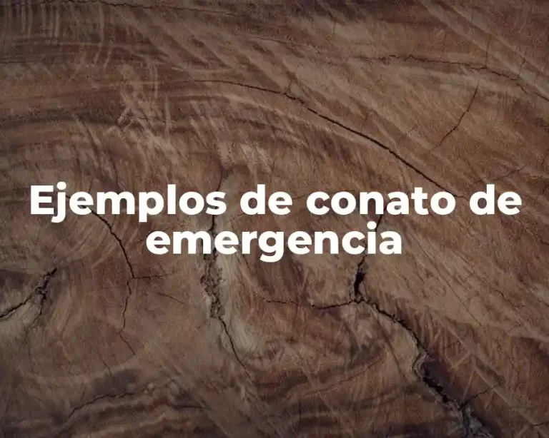 Ejemplos de conato de emergencia