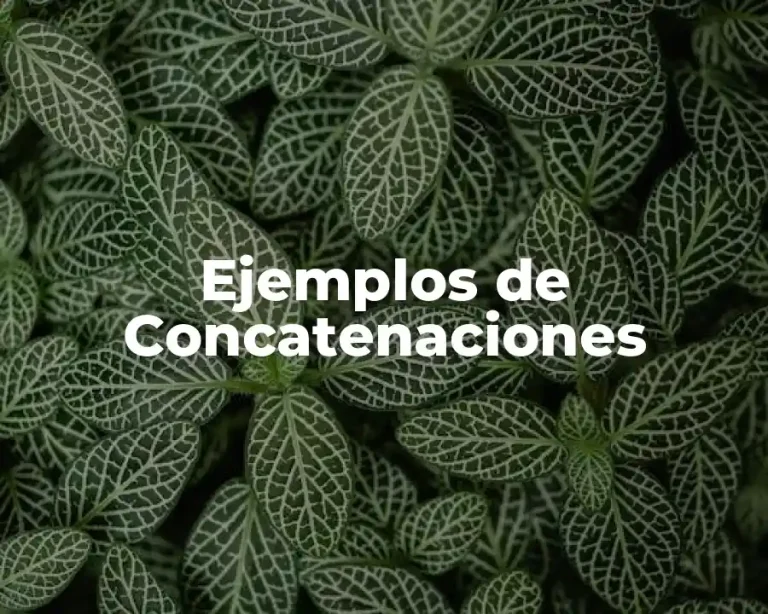 Ejemplos de Concatenaciones