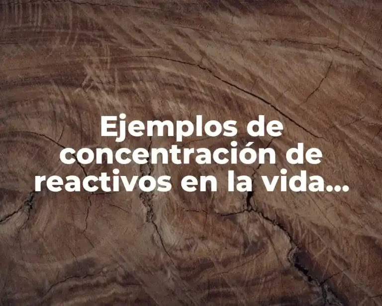 Ejemplos de concentración de reactivos en la vida cotidiana y Significado