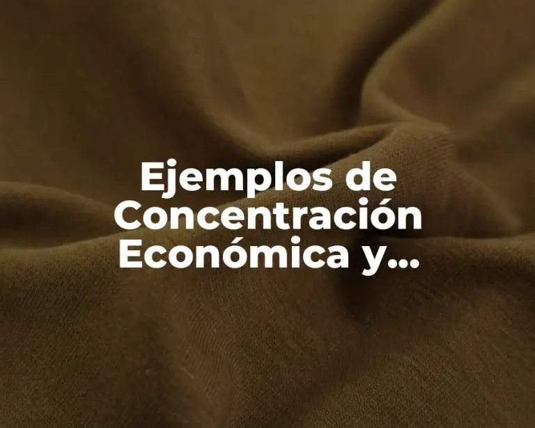Ejemplos de Concentración Económica y Significado