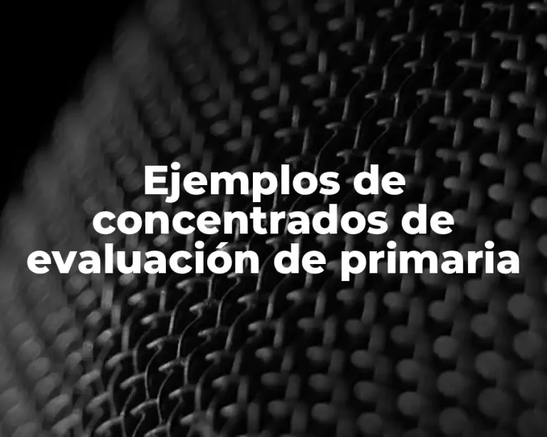 Ejemplos de concentrados de evaluación de primaria