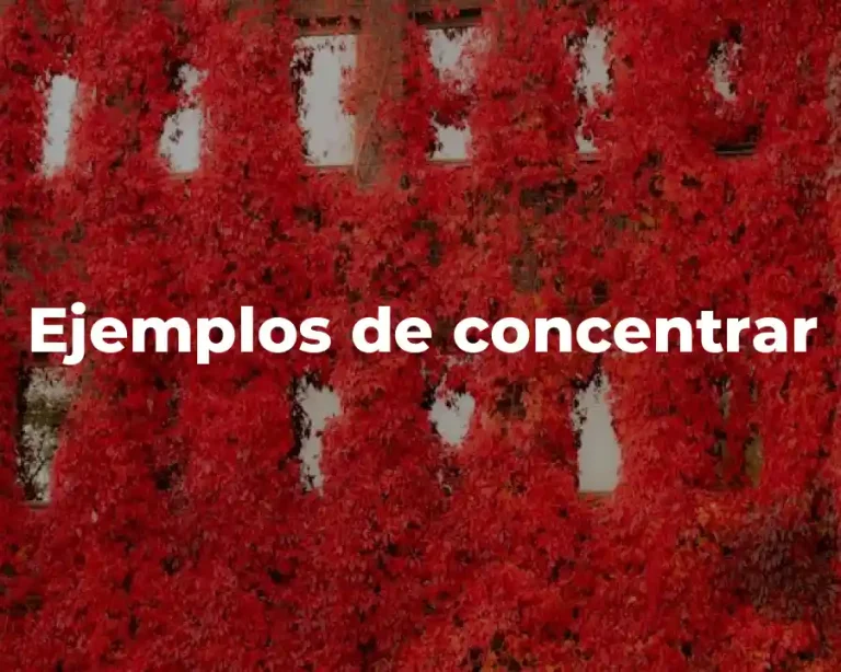 Ejemplos de concentrar