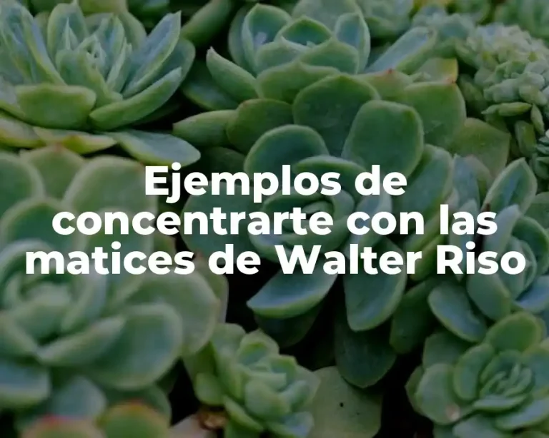 Ejemplos de concentrarte con las matices de Walter Riso