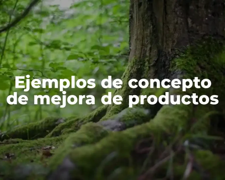 Ejemplos de concepto de mejora de productos