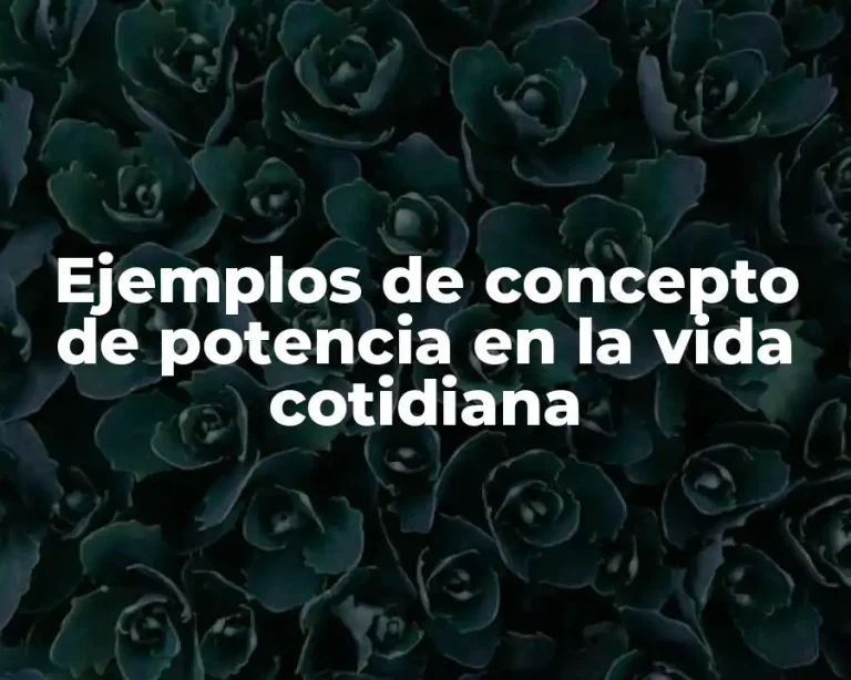 Ejemplos de concepto de potencia en la vida cotidiana