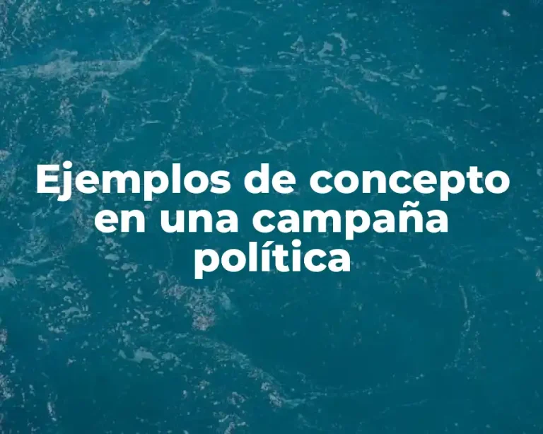 Ejemplos de concepto en una campaña política
