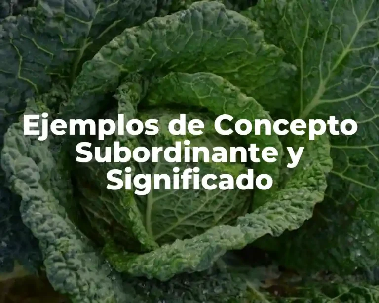 Ejemplos de Concepto Subordinante y Significado
